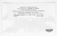 Image Associated With the Occurence